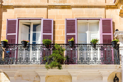 Potted plants on balcony of building