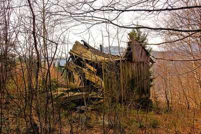 Abandoned house by bare trees against sky