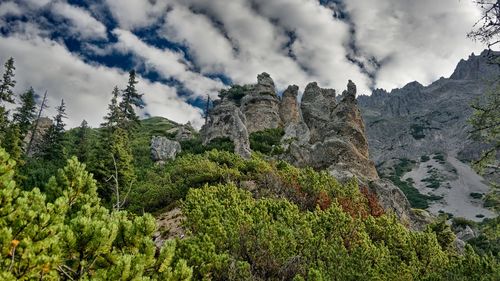 Low angle view of trees on mountain against sky