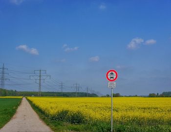 Road passing through field