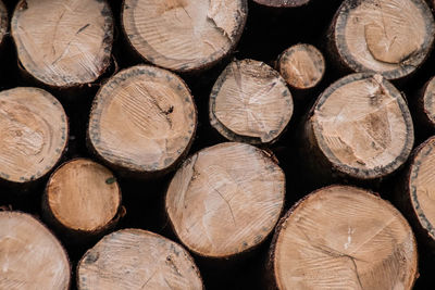 Full frame shot of logs in forest