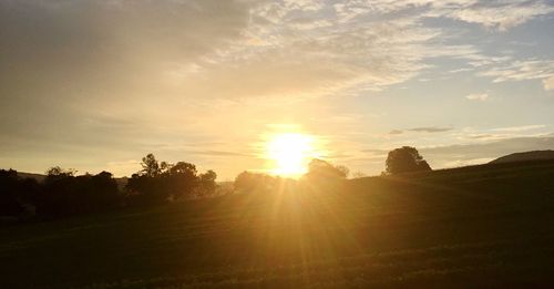 Silhouette trees on field against sky at sunset