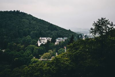 Scenic view of green mountain with trees against sky