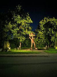 Statue in park against sky at night