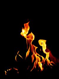 Close-up of fire against black background