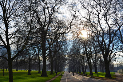 Road amidst bare trees against sky