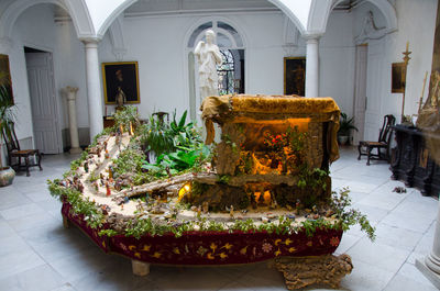 Potted plants on table outside building
