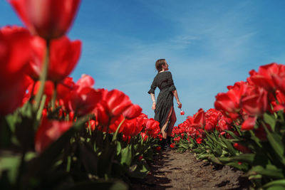 Woman standing by red flowering plants against sky