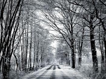 Empty road along snow covered trees