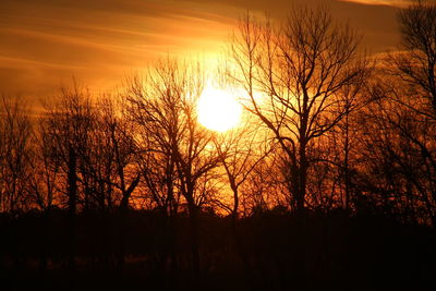 Silhouette bare trees against sky during sunset