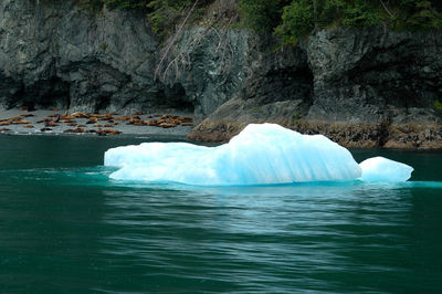 Blue iceberg on green waters