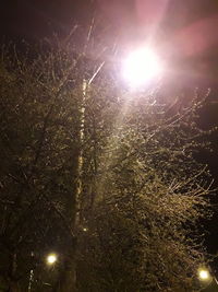 Low angle view of illuminated trees against sky at night