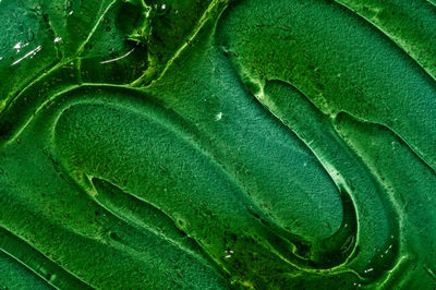 Full frame shot of green leaves