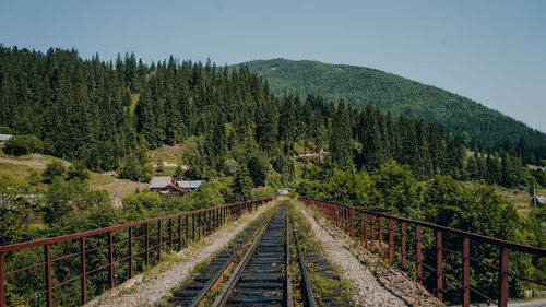 Railroad tracks amidst trees and plants against sky