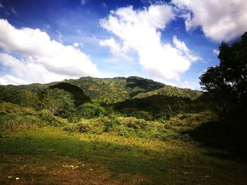 Scenic view of landscape against sky