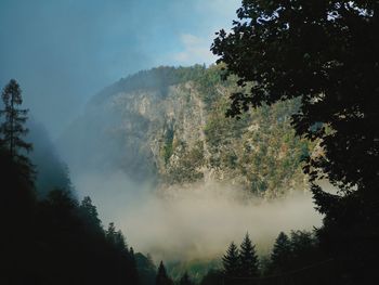 Scenic view of trees against sky in foggy valley