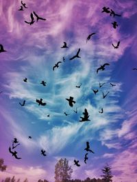 Low angle view of birds flying in sky