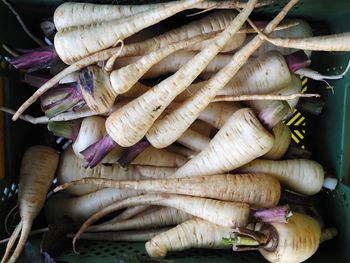 Close-up high angle view of radishes