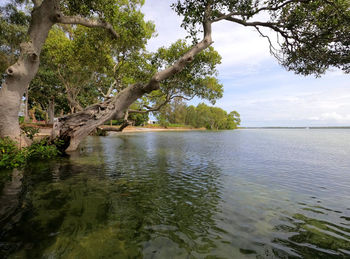 Scenic view of lake against sky