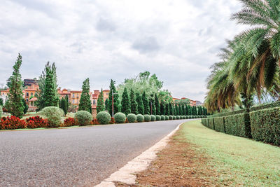 Road amidst trees against sky