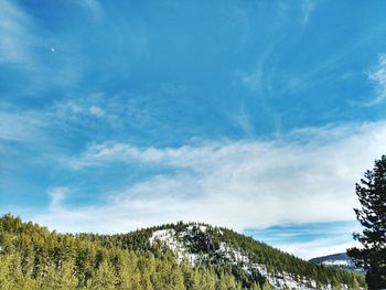 Scenic view of landscape against cloudy sky