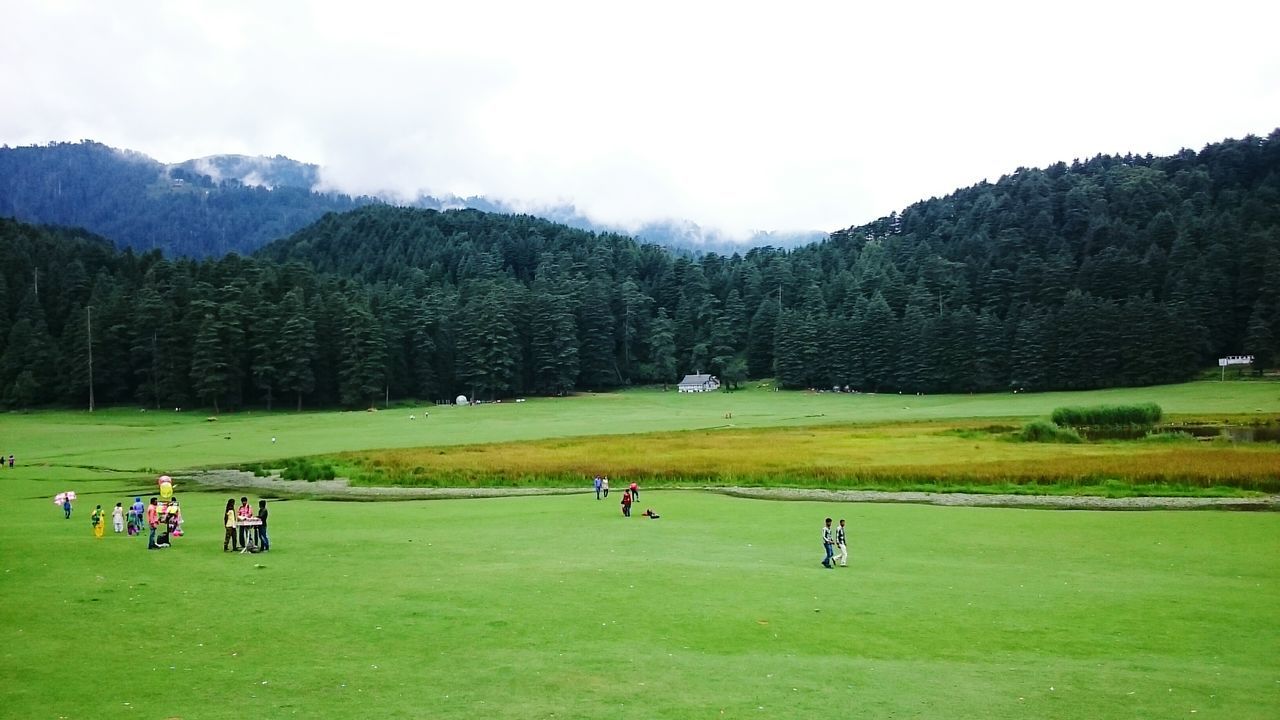 grass, green color, mountain, tree, large group of people, landscape, leisure activity, men, grassy, tranquil scene, field, tranquility, scenics, beauty in nature, lifestyles, nature, person, tourist, sky