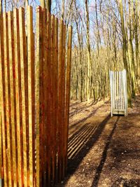 Shadow of trees on field