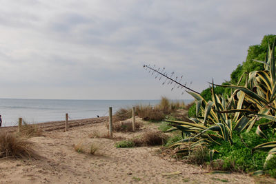 Scenic view of beach against sky