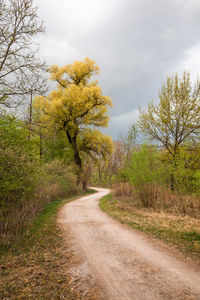 Road amidst trees against sky during autumn