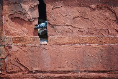 Close-up of built structure