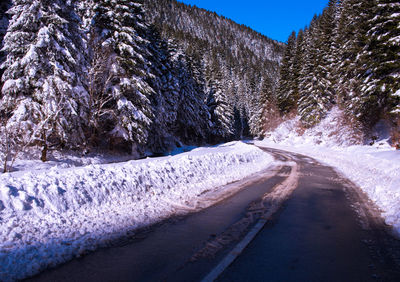 Road amidst trees against sky during winter