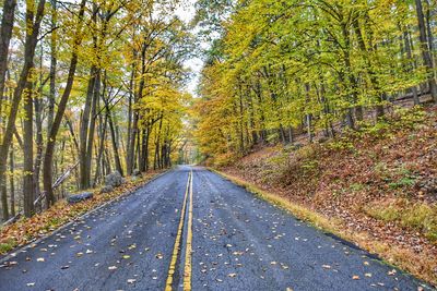 Road amidst trees during autumn