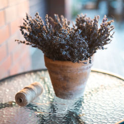 Close-up of ice cream on table