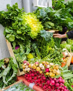 High angle view of vegetables for sale