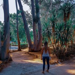 Rear view of woman standing on palm trees