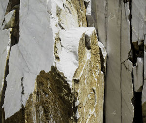 Close-up of snow on rock