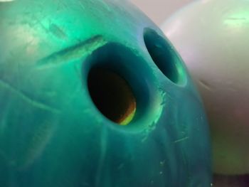 Close-up of jellyfish swimming in sea