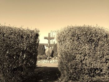 Built structure with trees in foreground