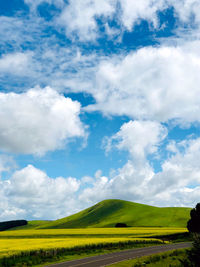 Scenic view of landscape against sky