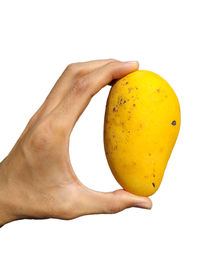 Close-up of hand holding apple against white background