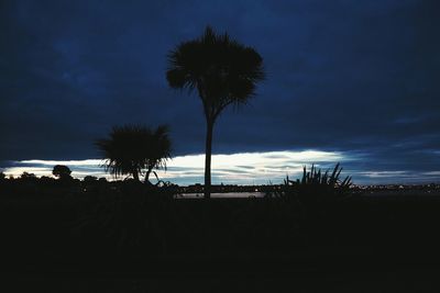 Silhouette of trees against cloudy sky