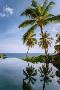 Palm tree by sea against sky