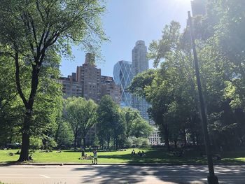 Trees by park against buildings in city