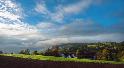 Scenic view of agricultural field against sky