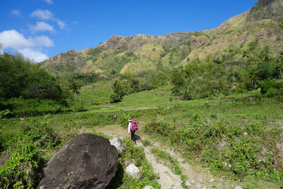 Person walking on green mountain