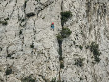 Full length of woman standing on tree trunk