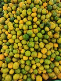 Orange fruits with different colours ready for sale 