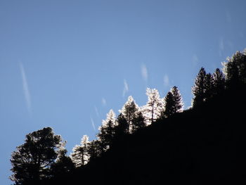 Low angle view of silhouette trees against sky during winter