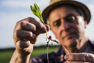 Farmer examining root of a plant