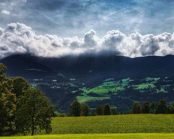 Scenic view of field against sky